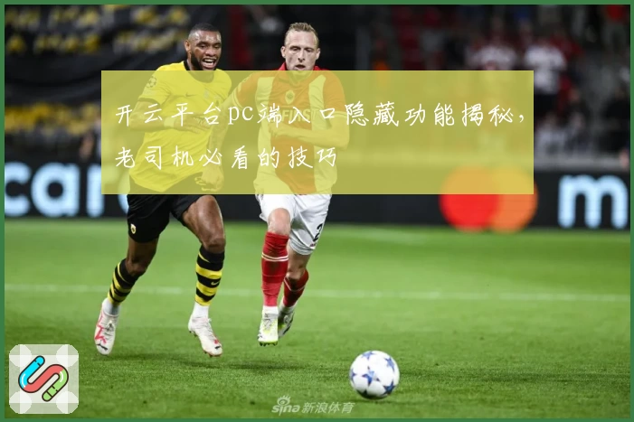 开云平台pc端入口隐藏功能揭秘，老司机必看的技巧