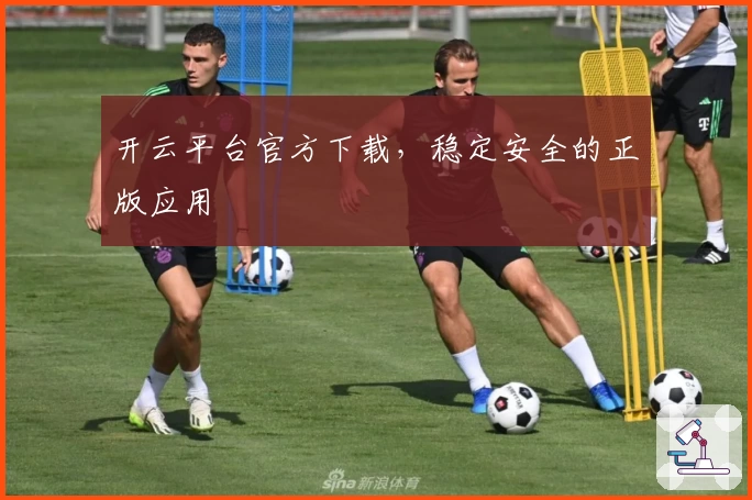 开云平台官方下载，稳定安全的正版应用