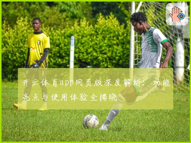 开云体育app网页版深度解析:功能亮点与使用体验全揭晓