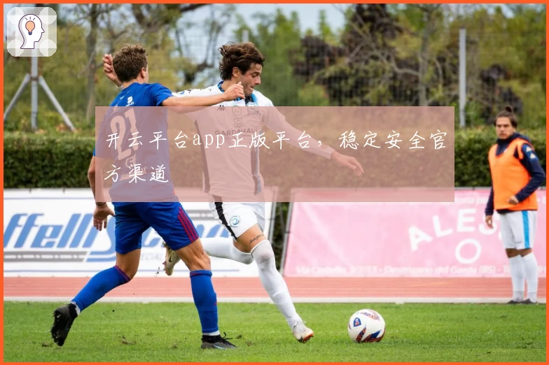 开云平台app正版平台,稳定安全官方渠道