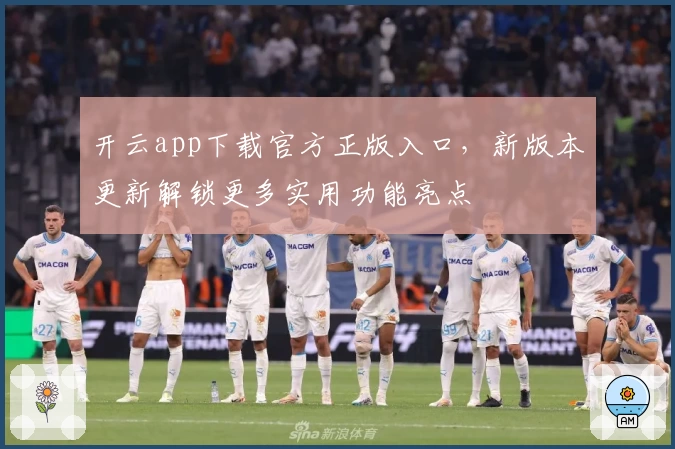 开云app下载官方正版入口,新版本更新解锁更多实用功能亮点