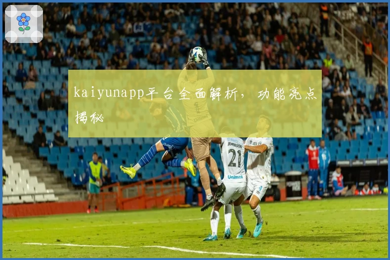 kaiyunapp平台全面解析，功能亮点揭秘