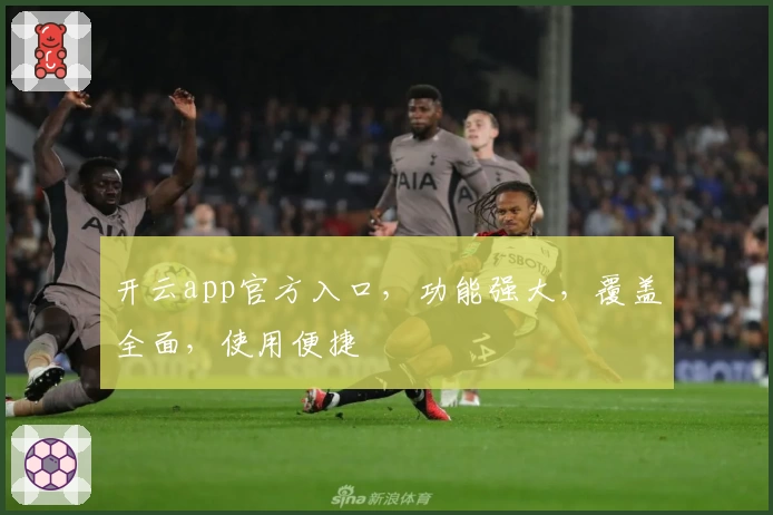 开云app官方入口，功能强大，覆盖全面，使用便捷